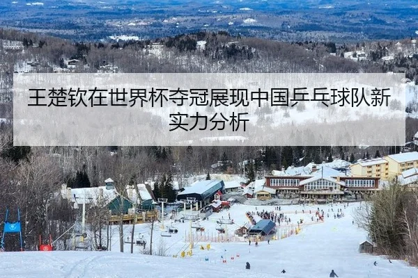 王楚钦在世界杯夺冠展现中国乒乓球队新实力分析